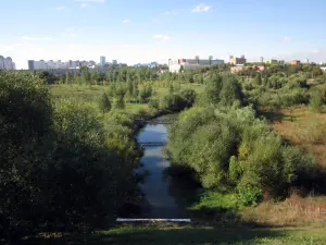 Лошица