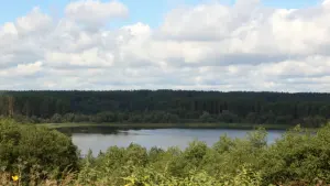Луговое (озеро)