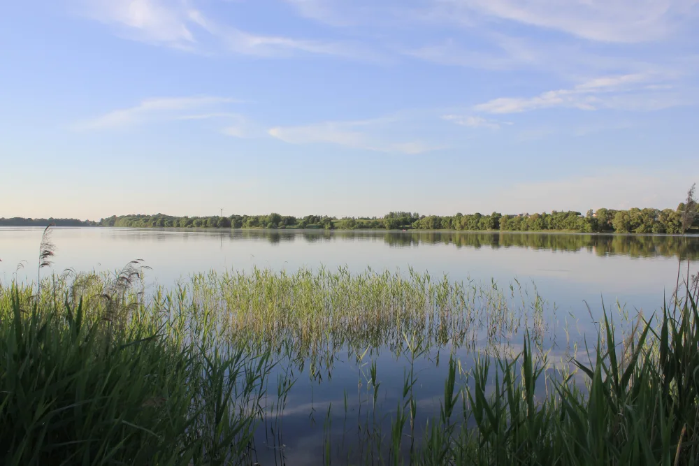 Сенно