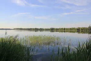 Сенно