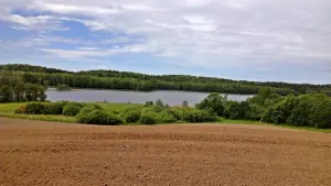 Ходцы