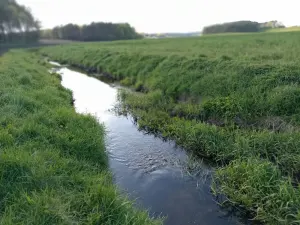 Цна (приток Свислочи)