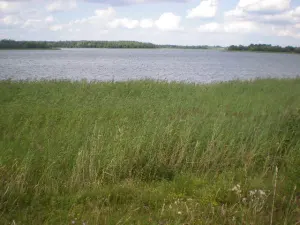 Черейское