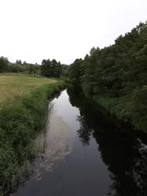 Уса