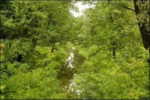 Нараўлянка
