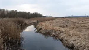 Перетуть