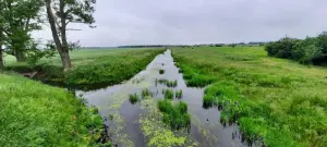Филипповка