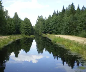 Сергуч