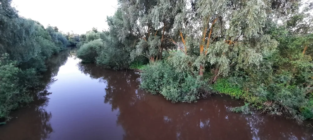 Смердь