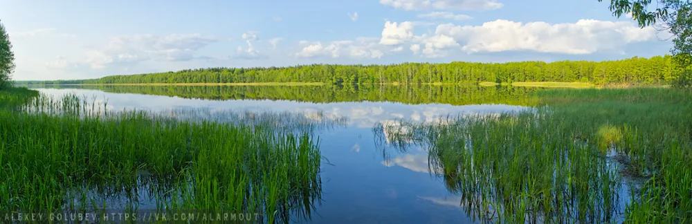 Крушиновское