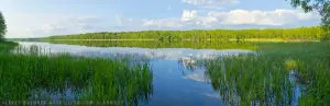 Крушиновское