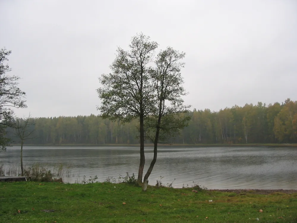 Ивесь