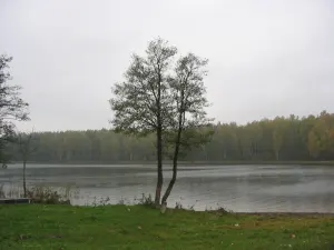 Ивесь