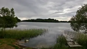 Островенское