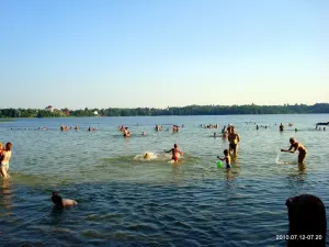 Белое