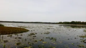 Жеринское озеро