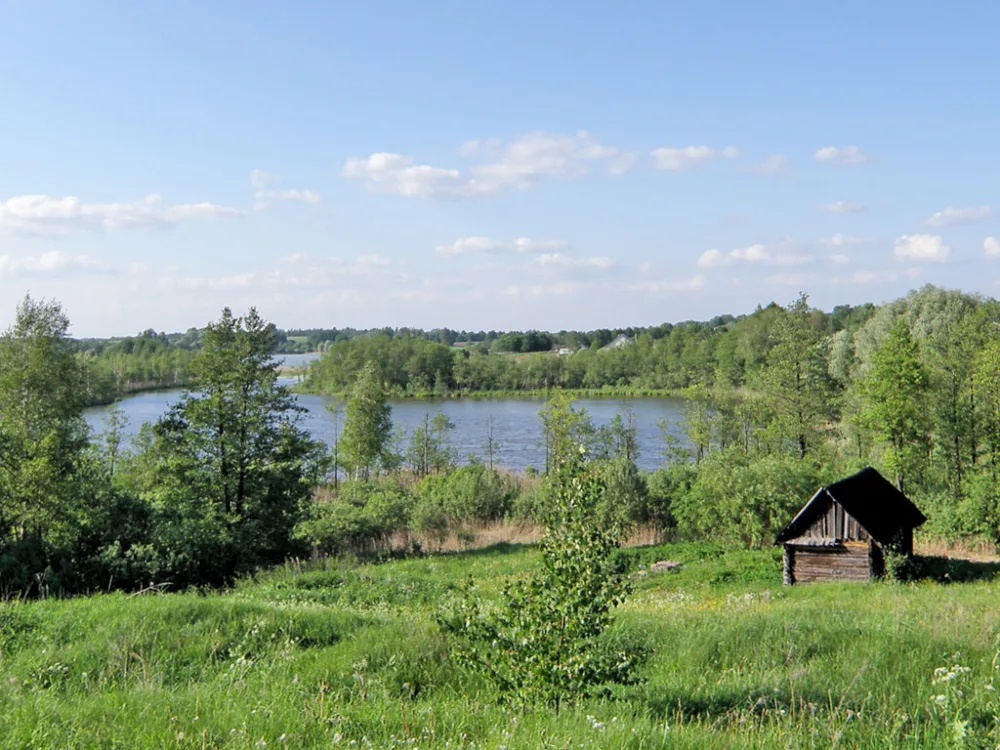 Опса