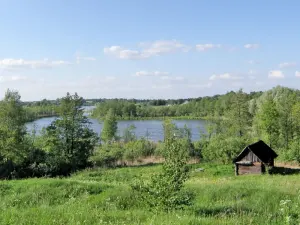 Опса