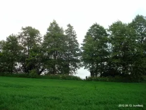 Ухвішча
