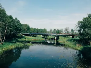 Волчес
