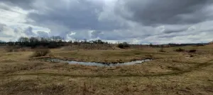 Менка