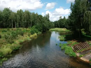Рыбчанка