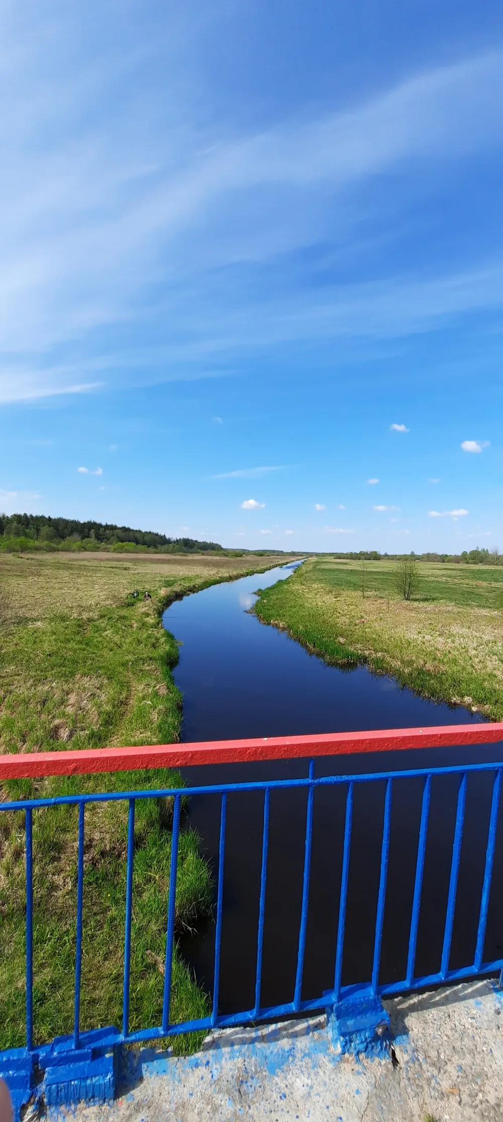 Синяя (приток Свислочи)