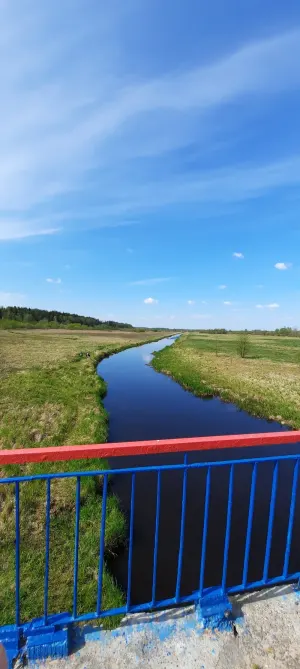 Синяя (приток Свислочи)