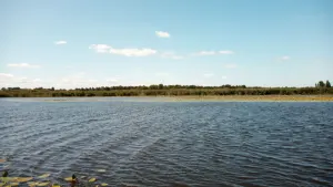 Гадынь