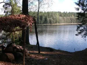 Баранское