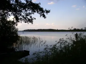 Вядзета