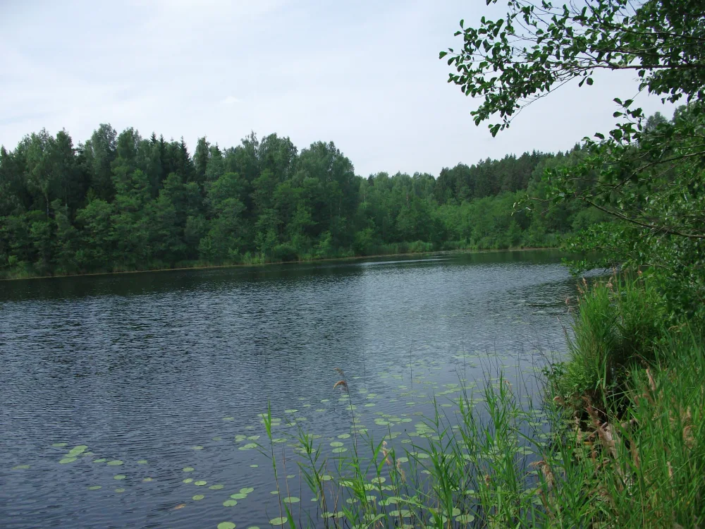 Деминец