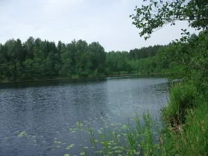 Деминец