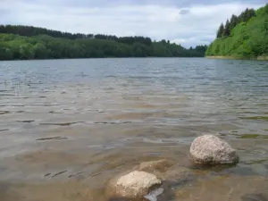 Разван