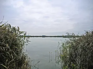 Рубаўскае