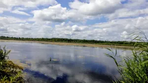 Рыбаковское