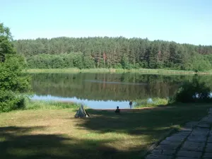 Борковщина