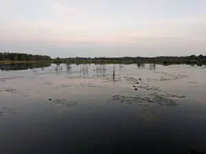 Вадасховішча Сакаўшчынскае