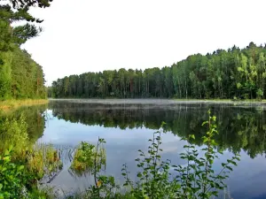 Шелохово