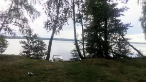 Ямнае