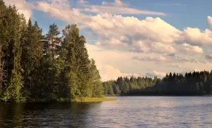 Неколочь