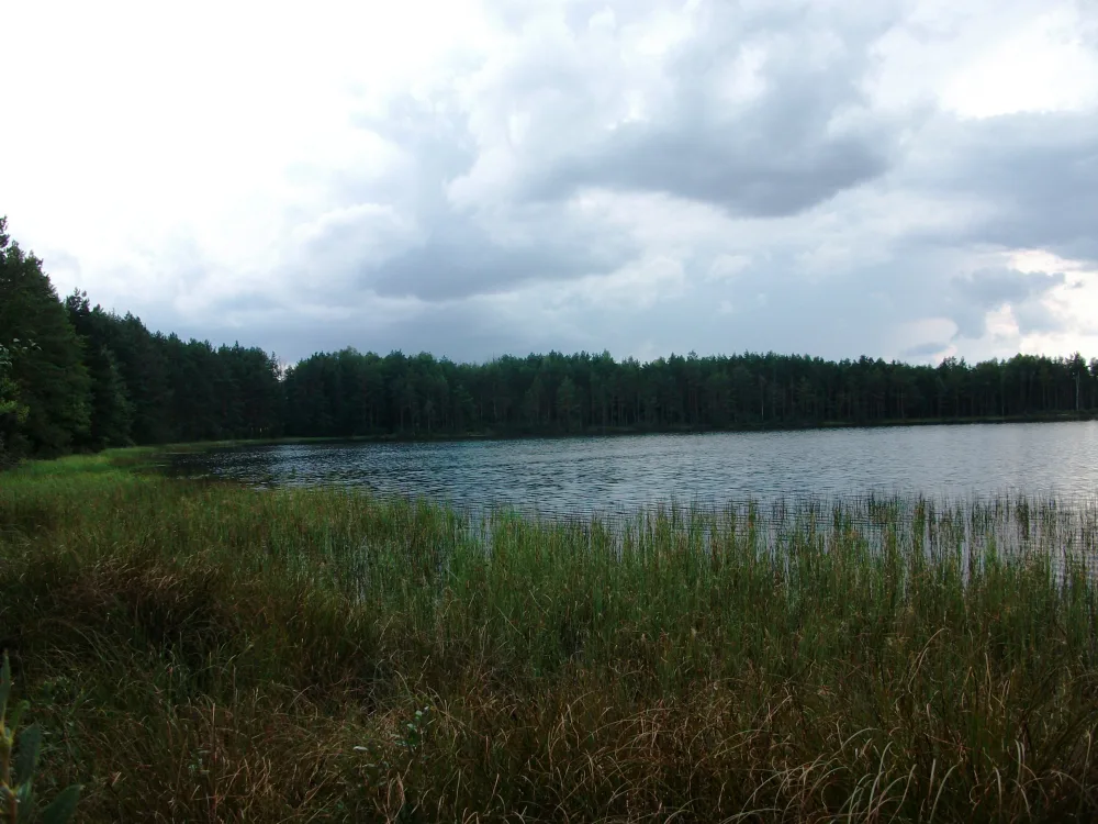 Запартава