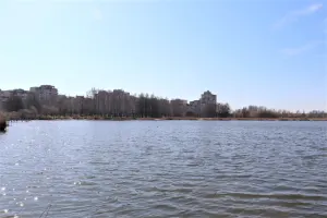 Жлобинское озеро