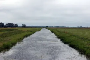 Сарока