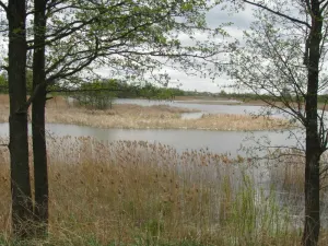 Жодинское водохранилище