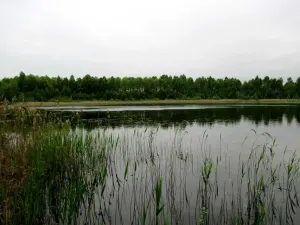 Величковское озеро