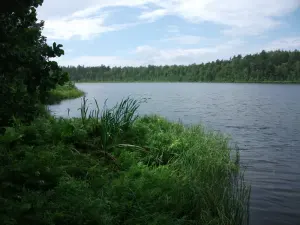 Брылінец