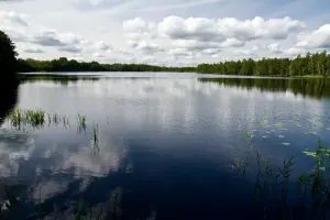 Цяцерка