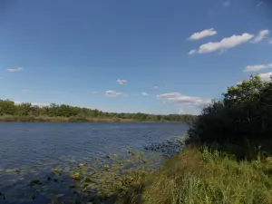 Плішчын