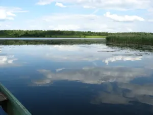 Голбея